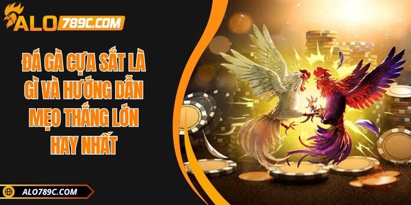 Đá gà cựa sắt